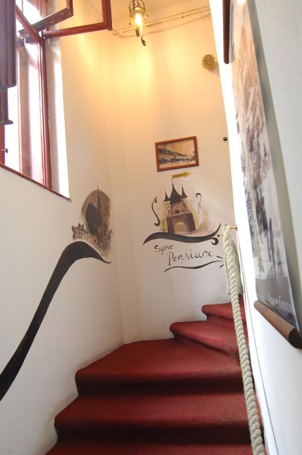 Гостевой дом Pensiunea Noemi Брашов-38